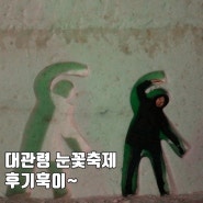 너무 늦었지만 대관령 눈꽃축제랑 에어비앤비 숙소 후기훅이~