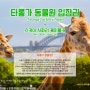 [호주,시드니여행/할인입장권] 시드니 타롱가 동물원 입장권 (Taronga Zoo)