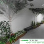 김해 인제대학교 장영실관 지하1층 자작나무및 인조목을 활용한 실내조경 장식!