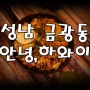 [성남 단대오거리맛집] 센스돋는 금광동맛집,술집 "안녕하와이" 아지트 목록추가!!