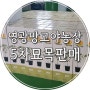 영광 망고야 농장 #5차 애플망고 묘목 2년생 소량 택배 판매합니다