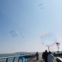 [AREA] 상하이 도심 속 봄나들이, 띠슈이후(滴水湖）