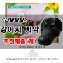 강아지 고양이 치약 추천해줄(개) 디얼퍼피 빌베리 천연 치약 맛도 건강도 이빨 관리도 완벽해..