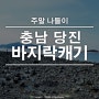 충남 당진, 주말 나들이: 서해 바지락 조개 캐기