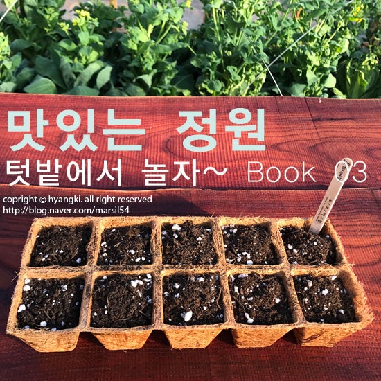 [모종 키우기] 씨앗으로 모종 키우는 여러가지 방법 : 네이버 블로그