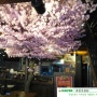 부산 남포동 이자카야 어장관리에 인조나무인 벚꽃나무 실내조경을 장식했어요!