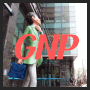 GNP [ gross national product ]