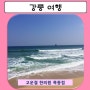 싱그러운 봄 바다, 강릉 여행 =3 / 풍차펜션 / 안목해변 / 경포대