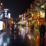 계림(桂林)여행 마지막날 정양보행거리(正陽 步行街) & 양강사호(两江四湖) 야간유람
