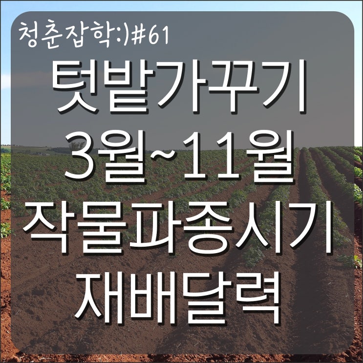 언제파종하는지 작물파종시기달력 다운받고 텃밭예쁘게 가꾸세요 : 네이버 블로그