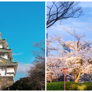 투어벨에서 준비한 살랑살랑 벚꽃 기행 럭셔리 오사카 2박3일