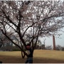 봄을 기다리는 김해 연지공원,그리고 아들과 데이트