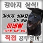 강아지 미네랄 - 나트륨, 칼륨, 칼슘의 중요성! 역할 및 효능/효과