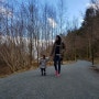 소소하게 마무리하는 노르웨이에서의 5개월, 행복했어 ♡