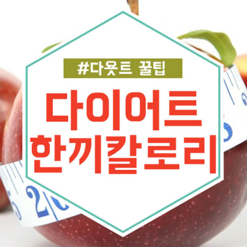 다이어트 한끼 칼로리 하루에 양은? : 네이버 블로그