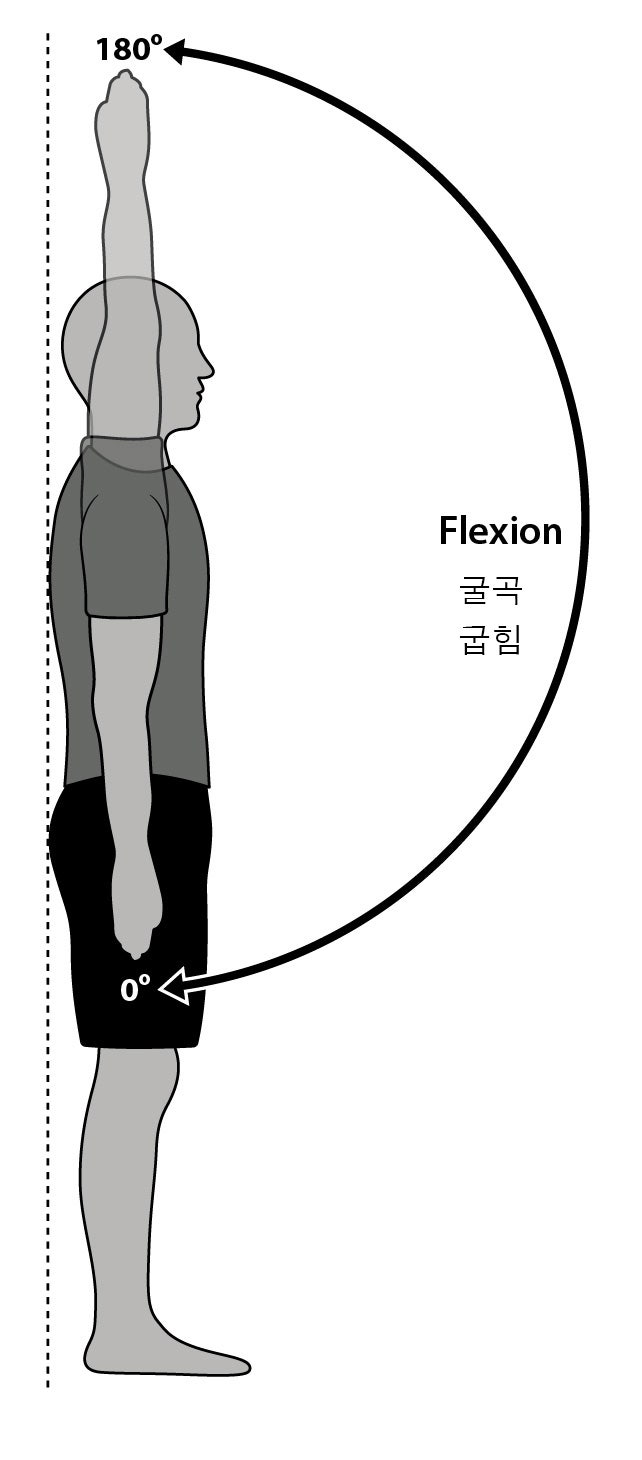 산본 채움필라테스 어깨의 굽힘과 운동 네이버 블로그