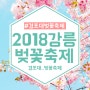 2018 강릉 경포대 벚꽃축제 <최신 정보>