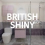 British Shiny [계림바스]