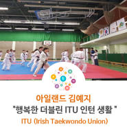 [3기] 아일랜드 ITU 김예지-행복한 더블린 ITU 인턴 생활