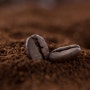 [커피의 산지 12] 엘바사도르, 깨끗한 산미의 특이품종인 '파카마라종'을 재배하는 나라.