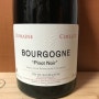 도멘 코와이요 부르고뉴 피노누아 (★☆, Domaine Coillot Bourgogne Pinot Noir, 2013)
