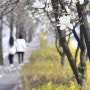 대전에서 만난 봄... #대전무역전시관 #건축박람회 #골드홈