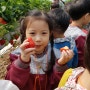 신나는 3월의 아이세상 유치원 딸기체험