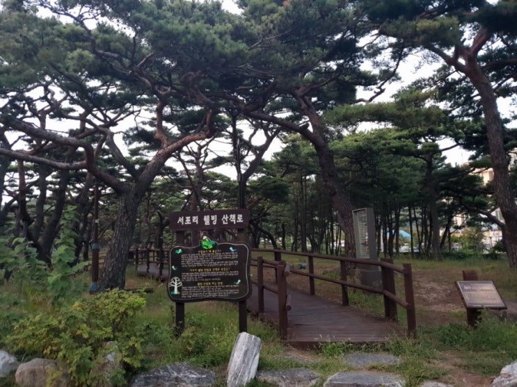 덕적도 여행사진 이모저모 : 네이버 블로그