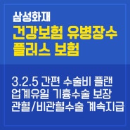 삼성화재 건강보험 유병장수 플러스 수술비 플랜(유병자용 동일)