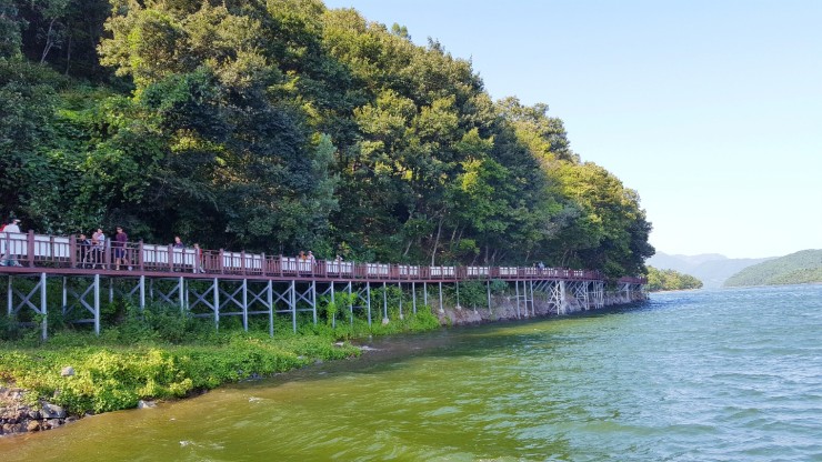 장성 가볼만한곳. 장성호 수변길 걷고 옐로우 출렁다리 건너봐요