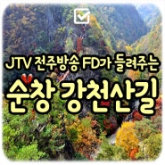 JTV 전주방송 천년의길 19회 : 전북 순창 '강천산길' 정보