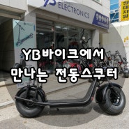 할리 전동스쿠터 YB바이크에서 Xpro 구매 및 튜닝