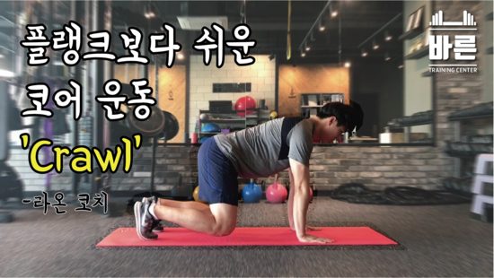 Crawl 운동법(네발자세), 지족동PT샵 : 네이버 블로그