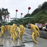 충남금산인삼축제 즐겨봅니다.