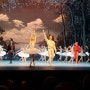백조의 호수(Swan Lake), 춤과 음악이 어우러진 환상적인 무대 - 알렉산드린스키 극장(Alexandrinsky Theatre)