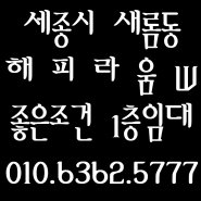 2-2 생활권 / 세종시 새롬동 상가 임대 / 세종시 상가 임대 / 세종시 해피라움W 임대 / 새롬동 해피라움W 상가임대