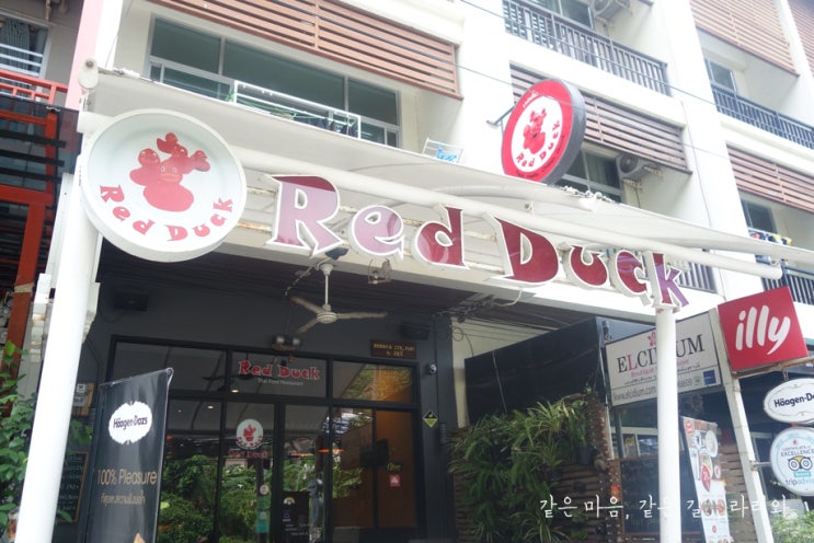 푸켓여행. 카타비치 레드덕(RED DUCK)