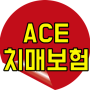 ACE간병보험 치매 시 보장액은?