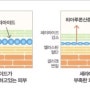 발라도 발라도 뜨는 각질 때문에 스트레스 받는 당신에게 Point TIP !!