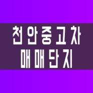 천안에서 제일 큰 중고차 매매단지