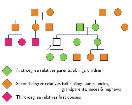 What Is Considered First Degree Relative