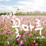 인천 계양구 가을여행 및 사진 명소