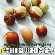 [마감]뚜바비앙 사과대추 1차공구:)