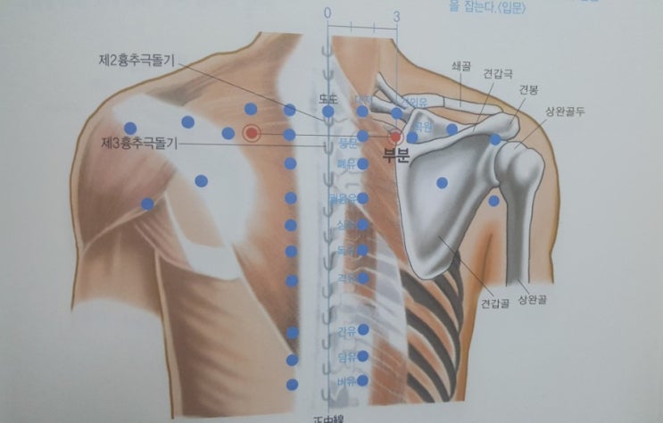 뒷목이 뻣뻣할때 이바롬에션셜오일S와 함께 부분혈을 지압!!! : 네이버 블로그