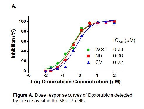 Cell Cytotoxicity Assay Kit II (WST-SRB-Crystal Violet) [K173-1000 ...