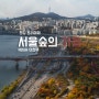 서울숲 트리마제 가을 / 성동구 한강 서울숲 풍경