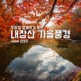 내장산 우화정 쌍계루 풍경 / 백양사 내장사 가을 단풍