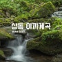 강원 영월 상동 이끼계곡 / 칠량이계곡