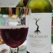 [마시면서 배우는 와인이야기]핀카 네그라 클래식 까르미네르