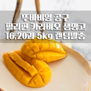 뚜바비앙 필리핀 카라바오 생망고 16,20과 5kg 랜덤발송